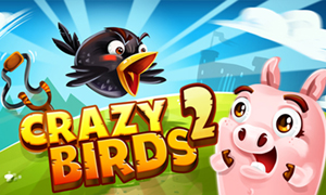 crazy-birds-2